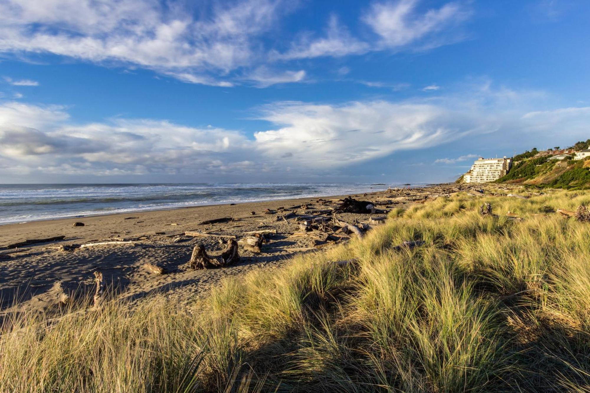 The Whale At Sandstone Point Lejlighed Lincoln City Værelse billede