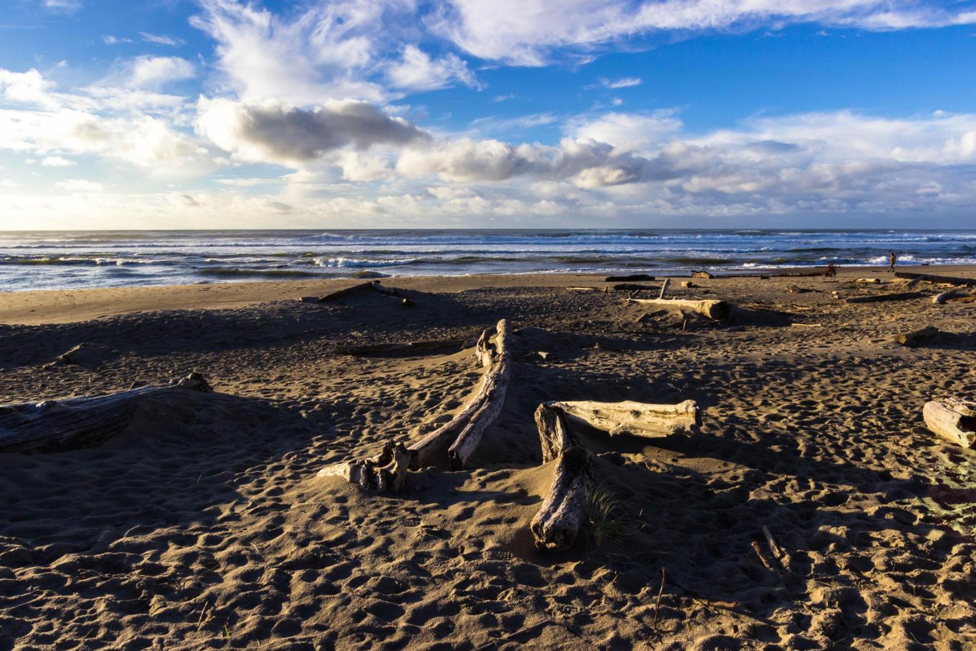 The Whale At Sandstone Point Lejlighed Lincoln City Værelse billede